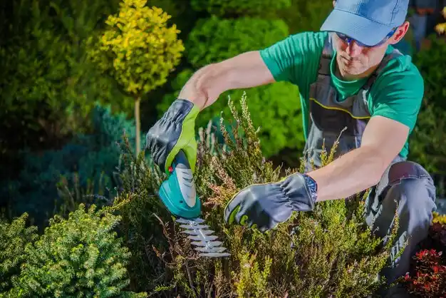 landscaping services Sault Ste. Marie